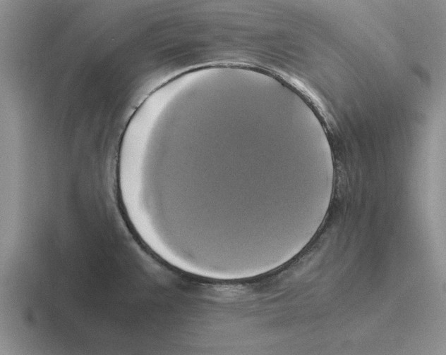 X0000116421383201001051117