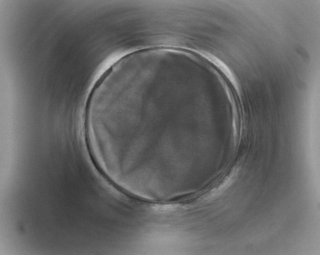 X0000116421389201001051117