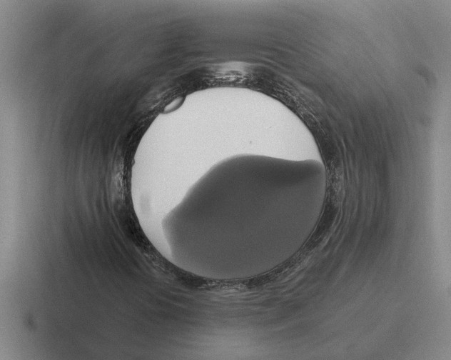 X0000116421394201001051117