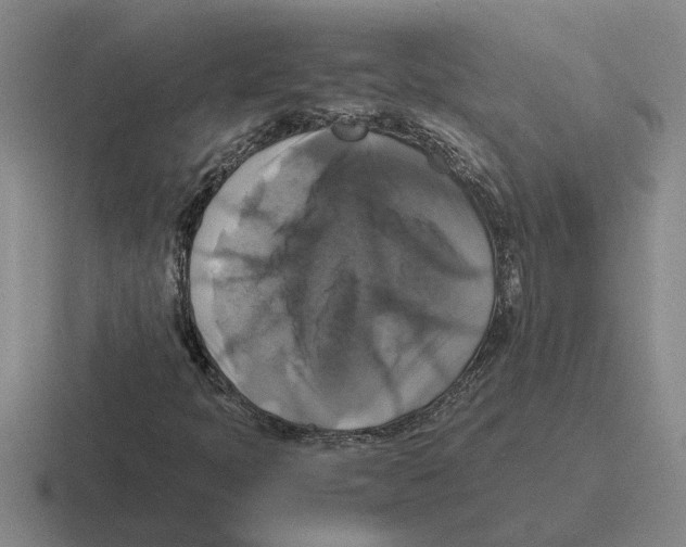 X0000116421397201001051117