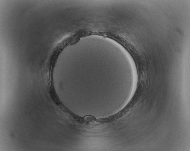 X0000116421398201001051117