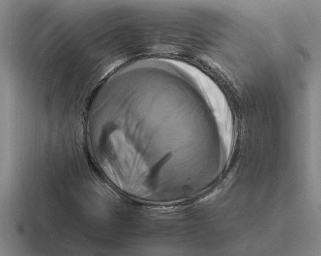 X0000116421401201001051117