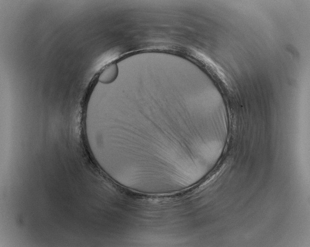 X0000116421411201001051117