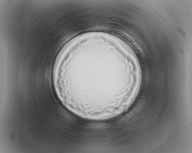 X0000116421417201001051117