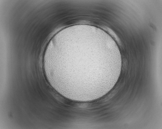 X0000116421435201001051117