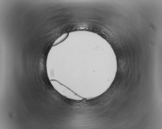 X0000116421442201001051117
