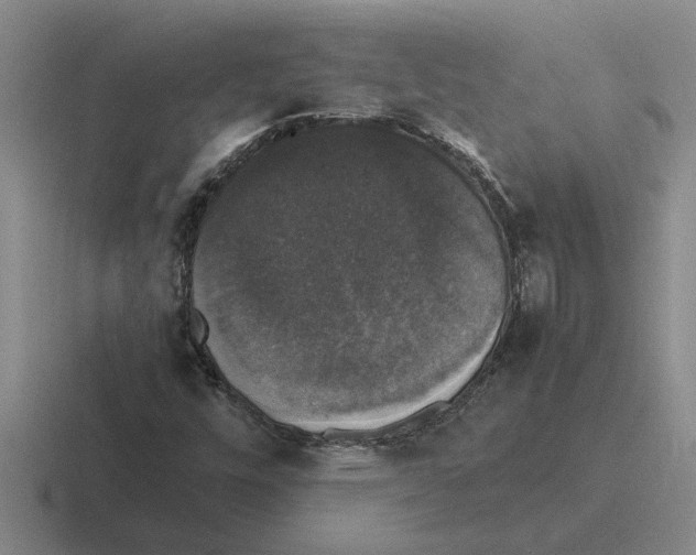 X0000116421448201001051117