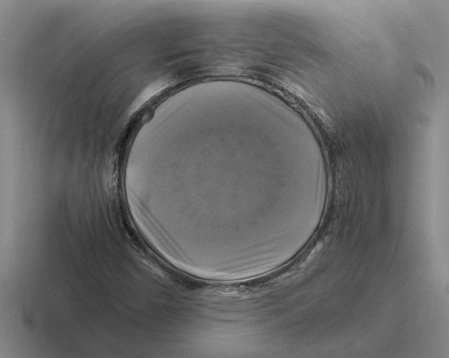 X0000116421450201001051117