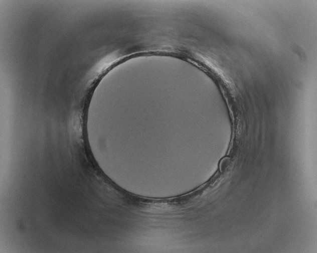 X0000116421455201001051117