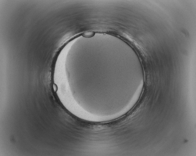 X0000116421459201001051116