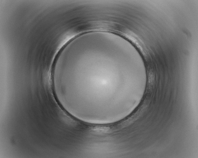 X0000116421466201001051116