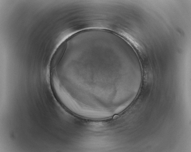 X0000116421468201001051116