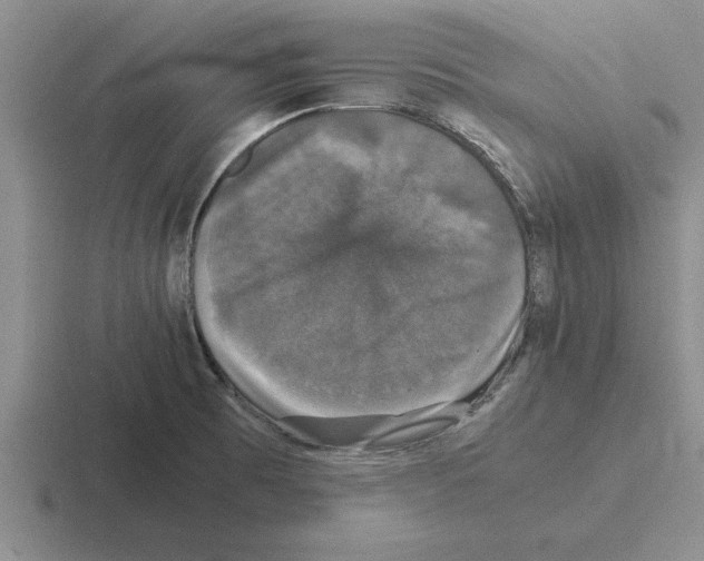 X0000116421473201001051116