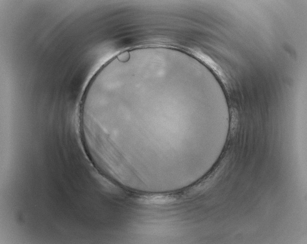 X0000116421474201001051116