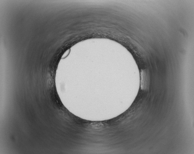 X0000116421491201001051116