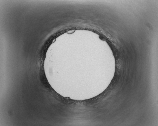 X0000116421495201001051116