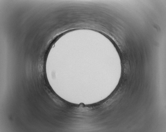 X0000116421499201001051116