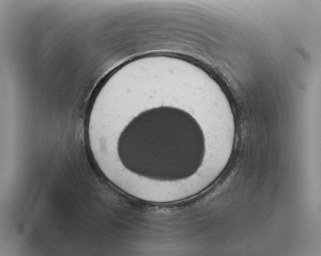 X0000116421505201001051116