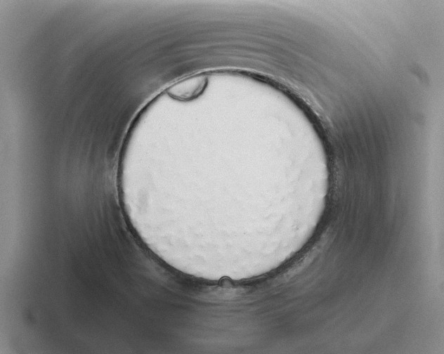 X0000116421513201001051116