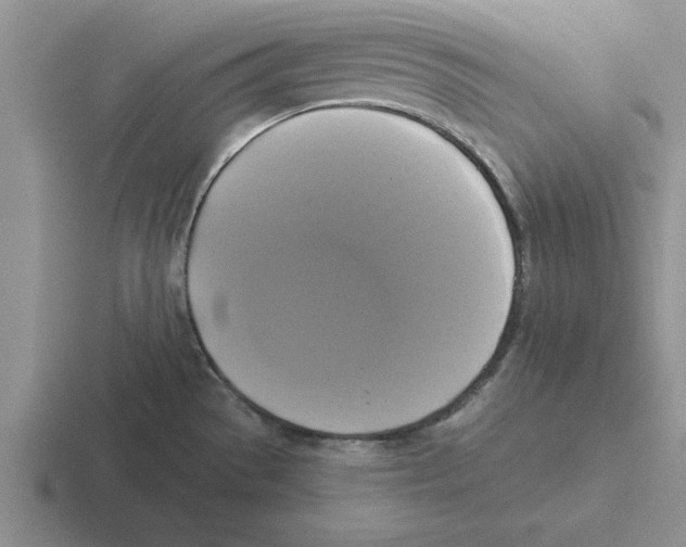 X0000116421529201001051116