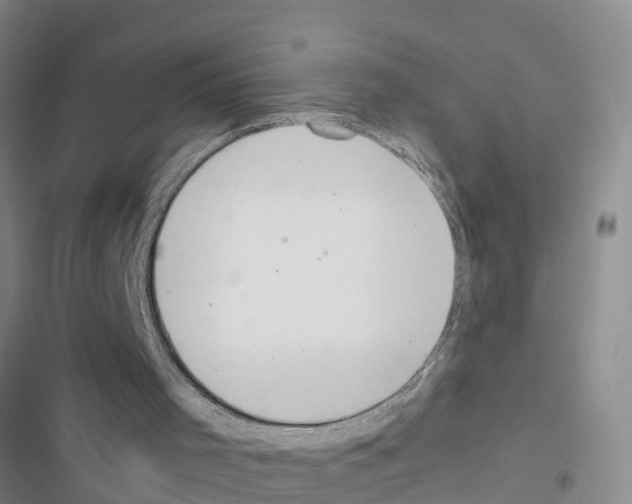 X0000116420001201001191500