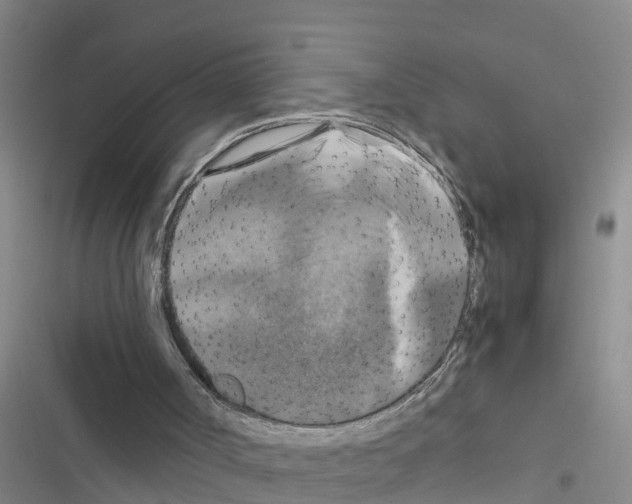 X0000116420002201001191459