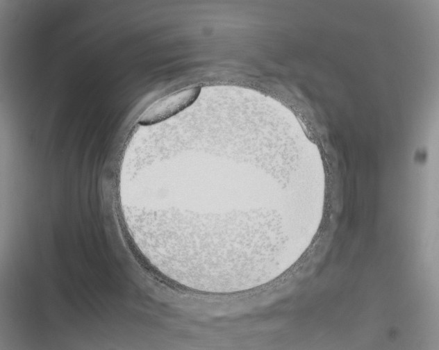 X0000116420003201001191459