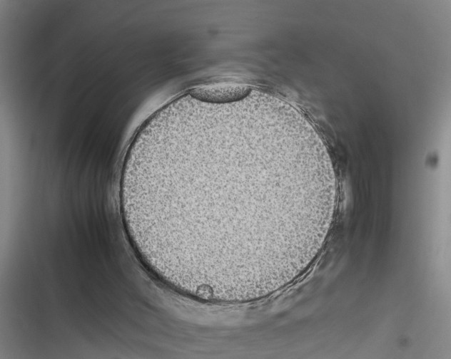 X0000116420004201001191459