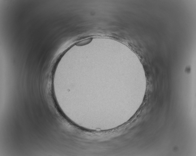 X0000116420005201001191459