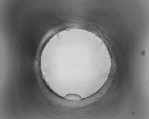 X0000116420006201001191459