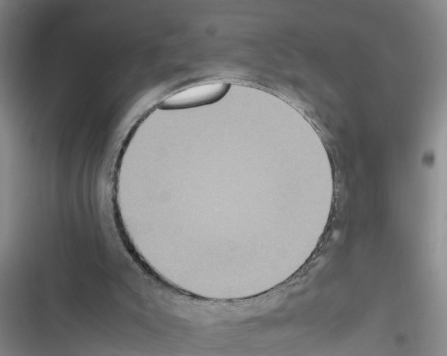 X0000116420007201001191459