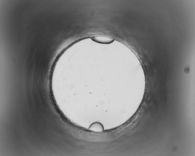 X0000116420008201001191459