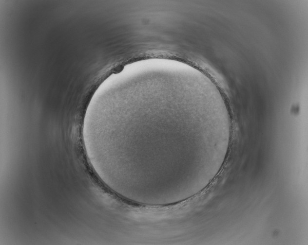X0000116420009201001191459