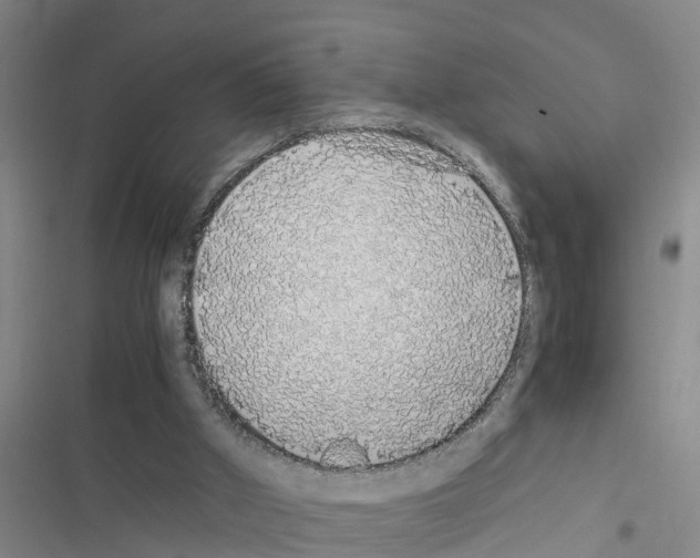 X0000116420010201001191459