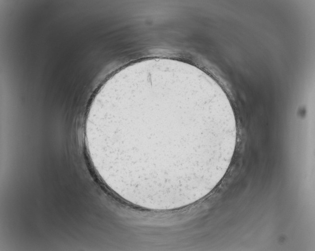 X0000116420011201001191459