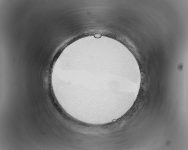 X0000116420012201001191459