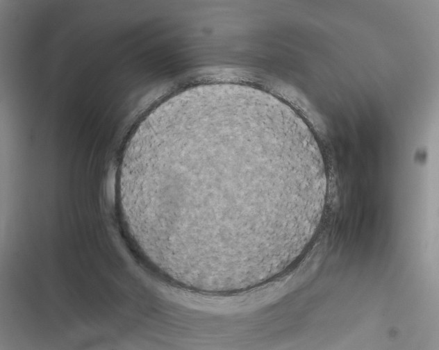 X0000116420014201001191459