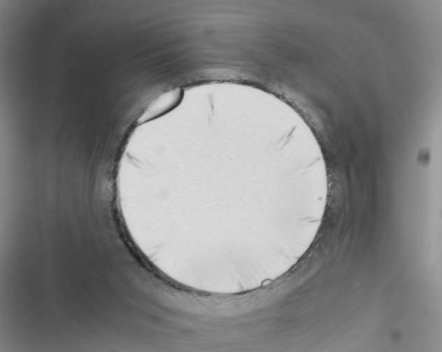 X0000116420015201001191459