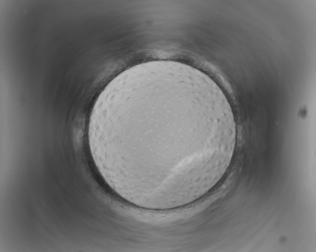 X0000116420018201001191459