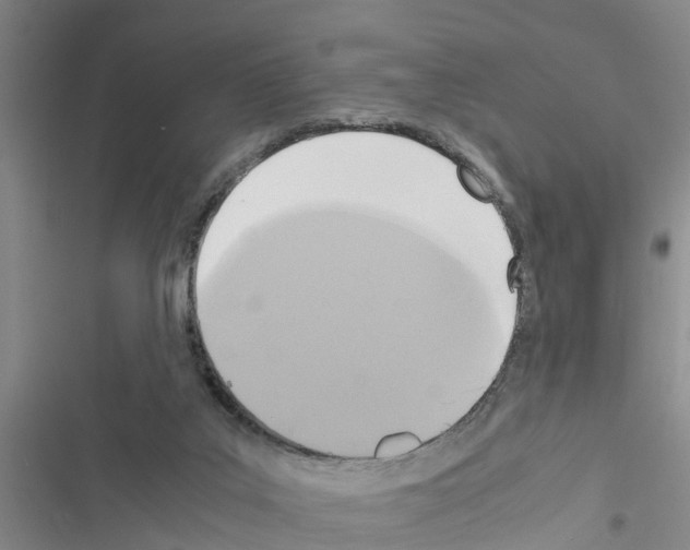 X0000116420019201001191459