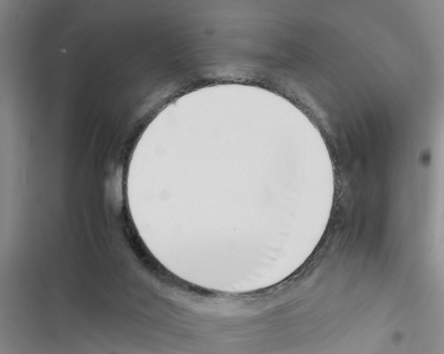 X0000116420020201001191459