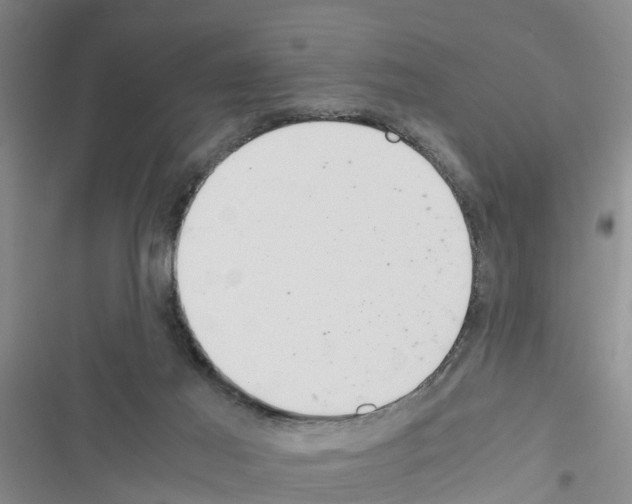 X0000116420021201001191459