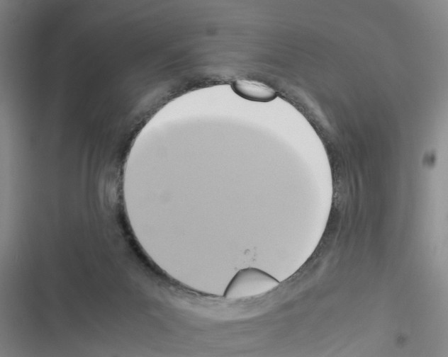 X0000116420023201001191459