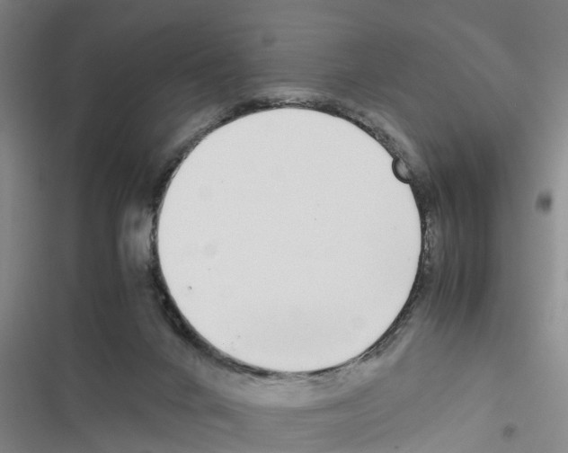 X0000116420024201001191459