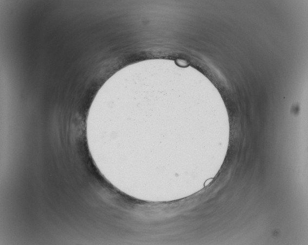 X0000116420025201001191459