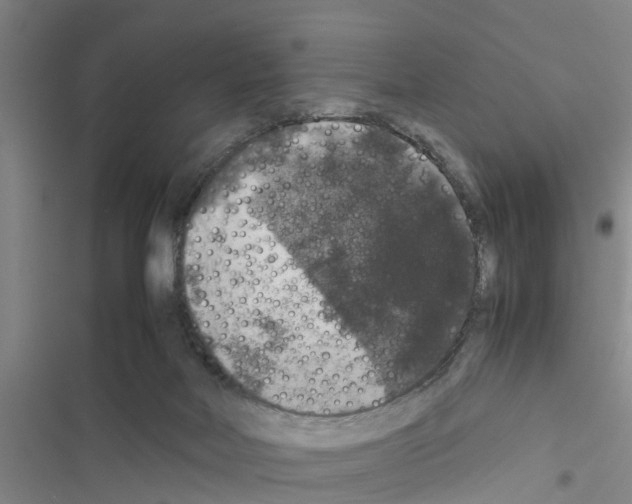X0000116420026201001191459