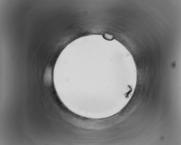 X0000116420028201001191459