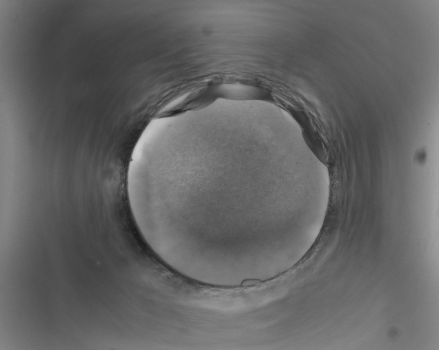 X0000116420029201001191459