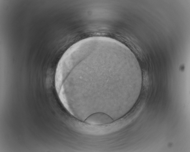 X0000116420030201001191459