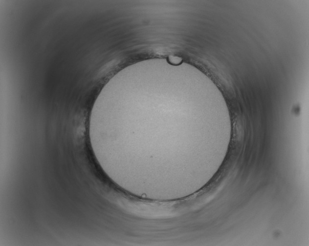 X0000116420032201001191459